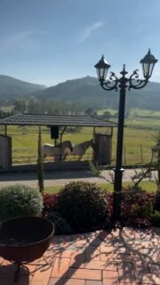 ⠀ Um lugar para quem é apaixonado por Cavalos.#cavalocrioulo #cavaloumapaixao #hotelfazenda #estribohotelestancia #natureza #hotelfazendars